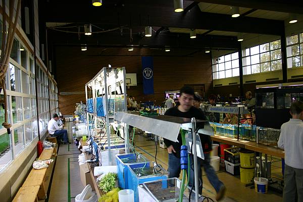 Stand Aquariumverein Amazonas Saarbrücken