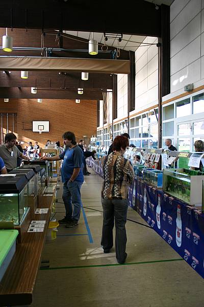 Stand Aquariumverein Amazonas Saarbrücken