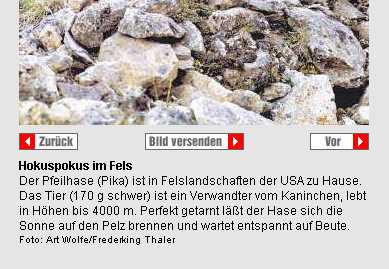 BILD erklärt die Welt der Zoologie
