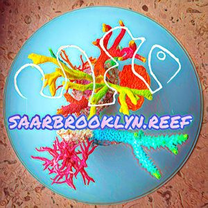 saarbrooklyn.reef Logo
